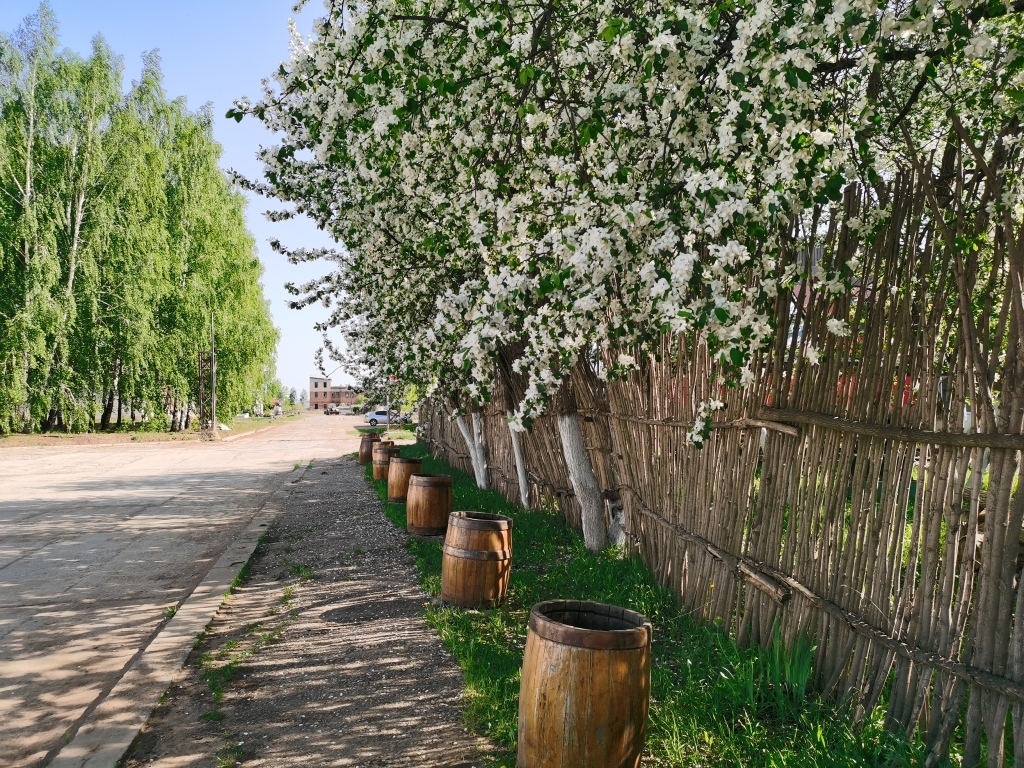 гостиницу р-н Куединский п Куеда фото 8