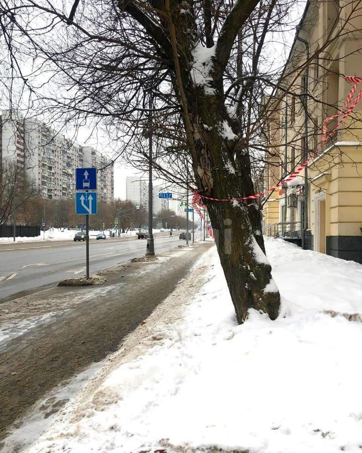 свободного назначения г Москва метро Полежаевская ш Хорошёвское 23к/2 муниципальный округ Хорошёвский фото 22