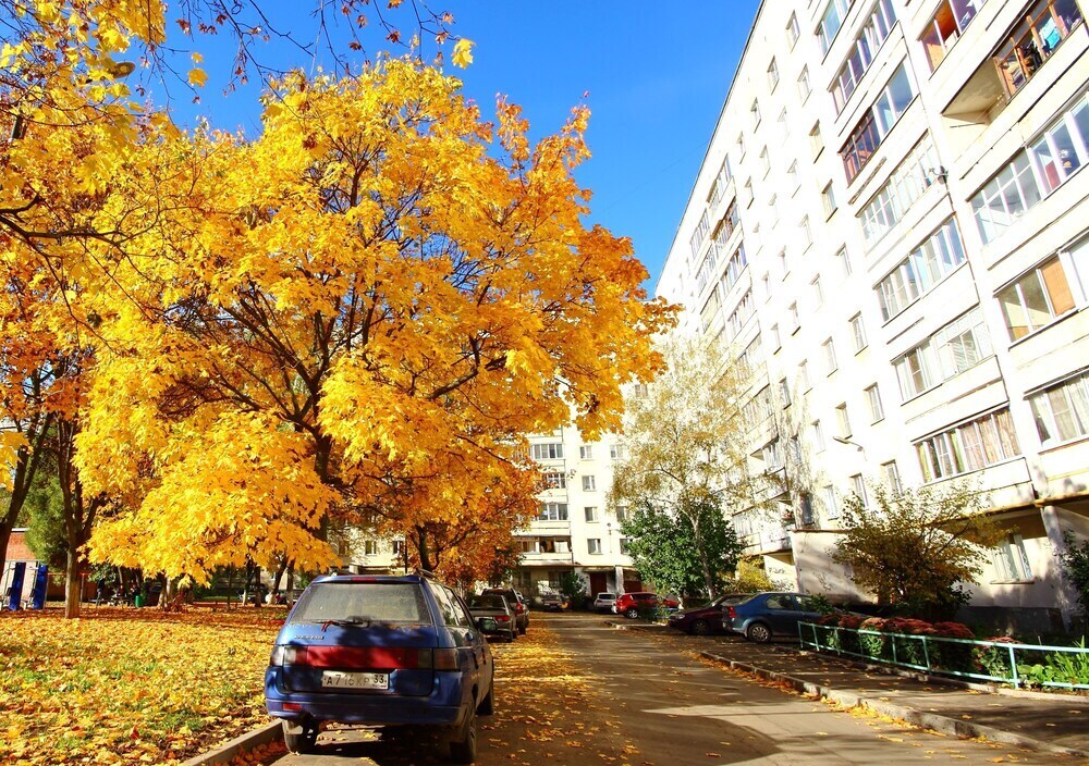 квартира г Владимир р-н Ленинский фото 1