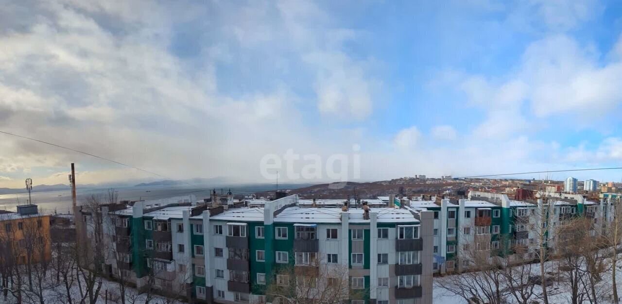 квартира г Петропавловск-Камчатский ул Войцешека 23 фото 17