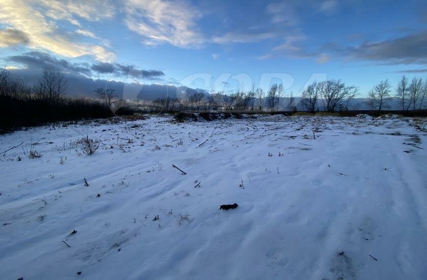 земля р-н Тюменский с Луговое фото 3