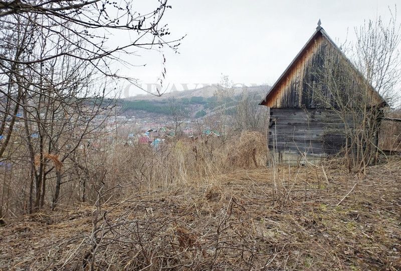 земля г Горно-Алтайск снт Вишенка фото 8