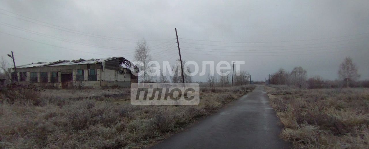 производственные, складские р-н Звениговский с Красный Яр ул Центральная 26 Красноярское сельское поселение, Звенигово фото 10