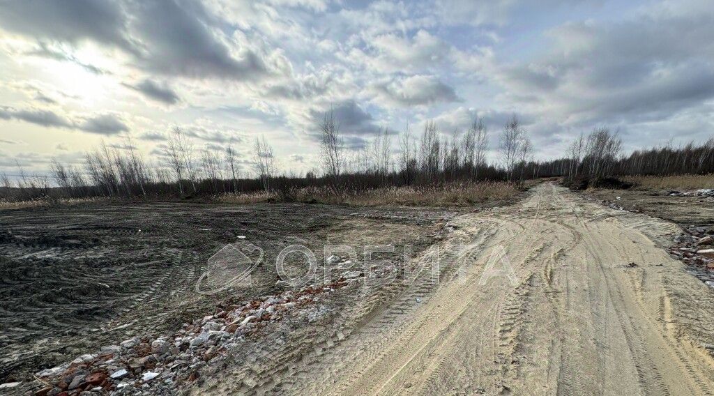 земля г Тюмень р-н Центральный снт Березняки фото 3