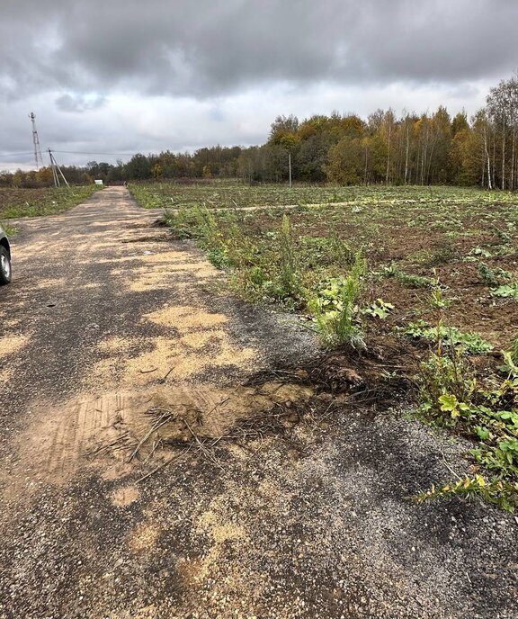 земля городской округ Дмитровский коттеджный поселок «Сорочаны» городской округ Клин фото 6