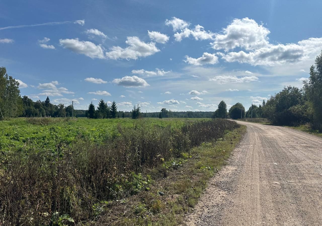 земля городской округ Клин д Вертково 68 км, Новопетровское, Новорижское шоссе фото 8