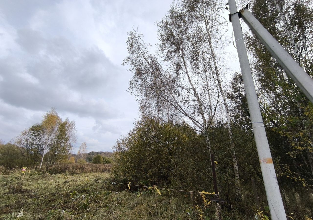 земля городской округ Клин п Зубово снт Гея 65 км, 1А, Клин, Рогачёвское шоссе фото 7