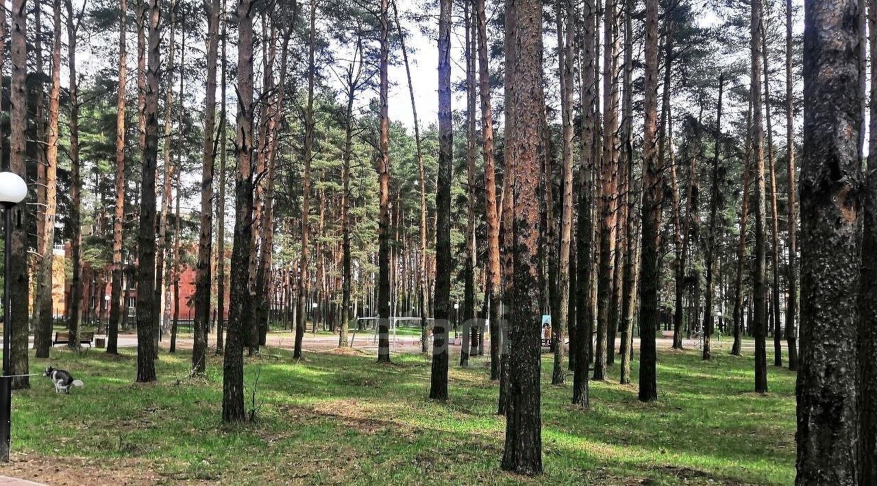 дом р-н Ярославский п Красный Бор Заволжское с/пос, Малая Барвиха кв-л фото 9