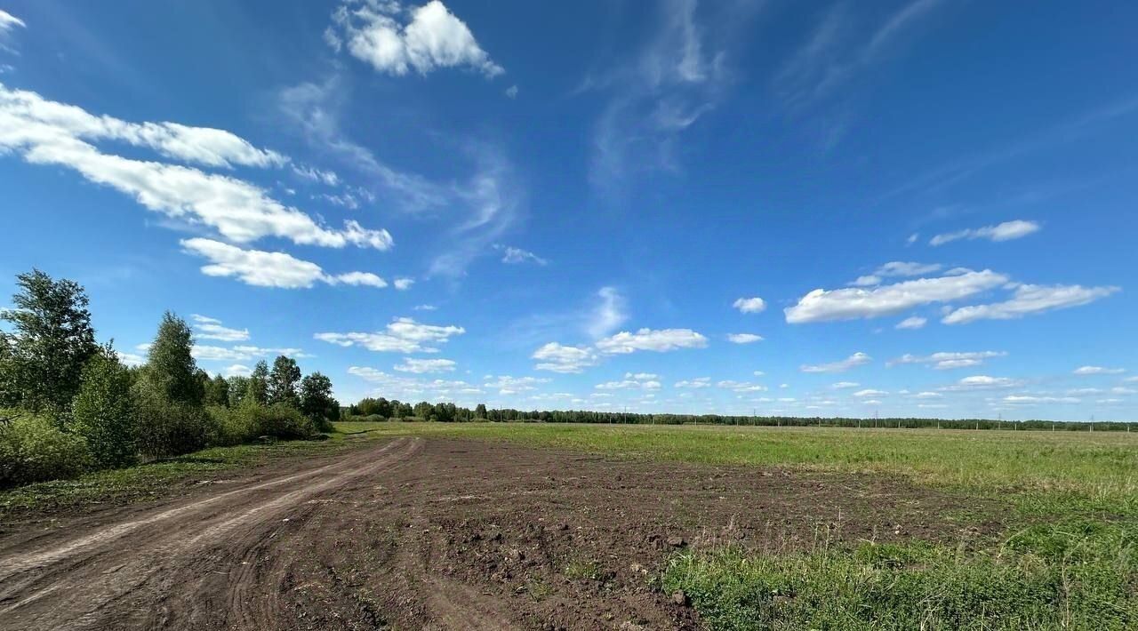 земля р-н Тюменский с Перевалово ул Малая Парковая фото 3