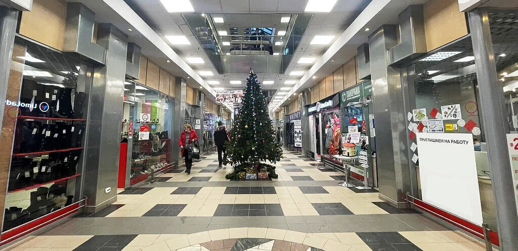 торговое помещение г Санкт-Петербург метро Пионерская пр-кт Коломяжский 15к/1 фото 17