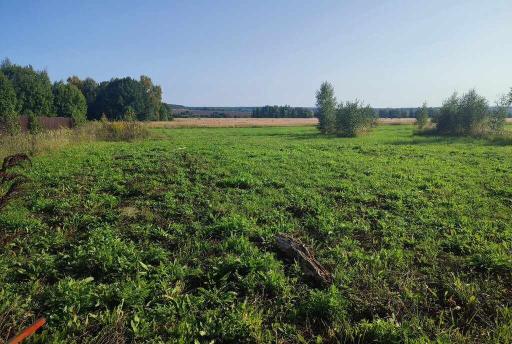 земля р-н Ясногорский п Есуковский ул Новая фото 1