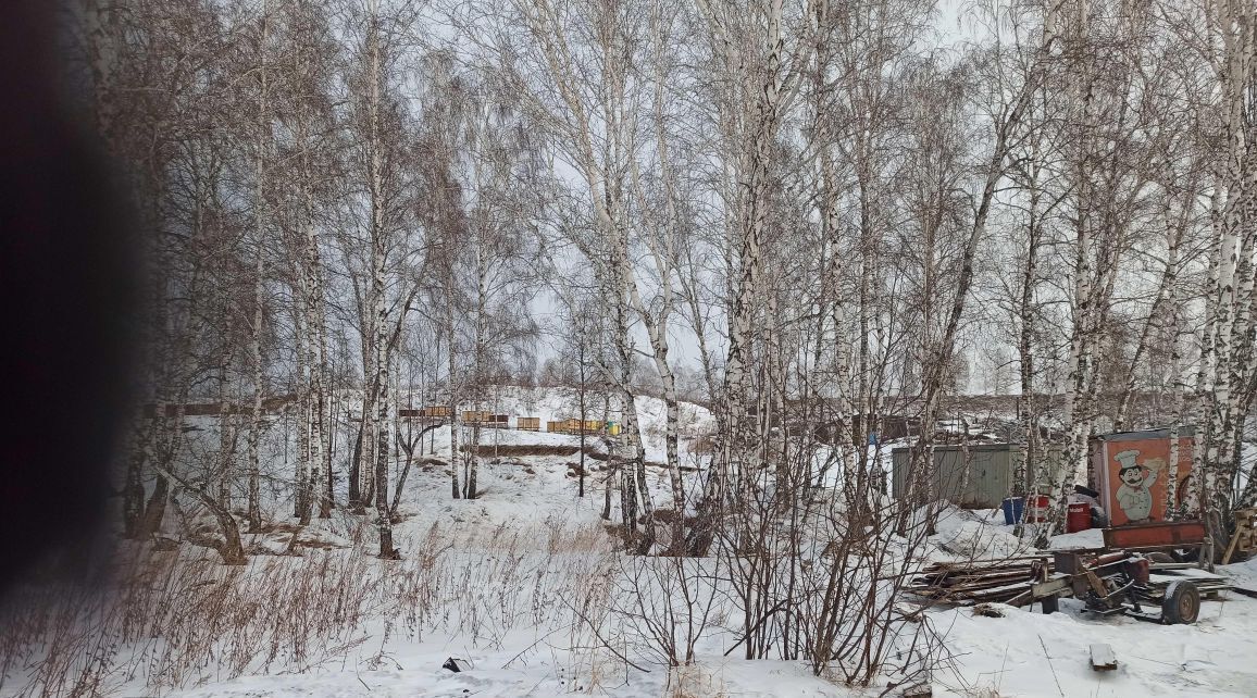 земля р-н Емельяновский д Старцево ул Центральная Шуваевский сельсовет фото 6