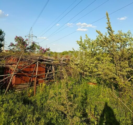 тер Добрунское сельское поселение снт сдт Пищевик деревня Добрунь фото