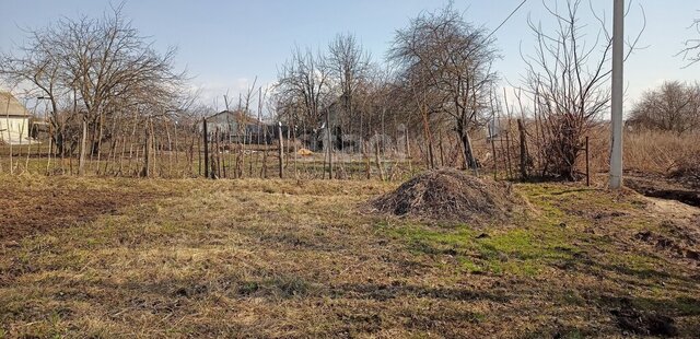 территория садоводческого общества Снежка фото