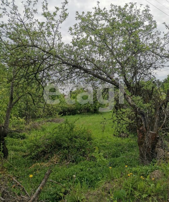 земля г Брянск садово-дачное товарищество Ветеран-1 фото 3