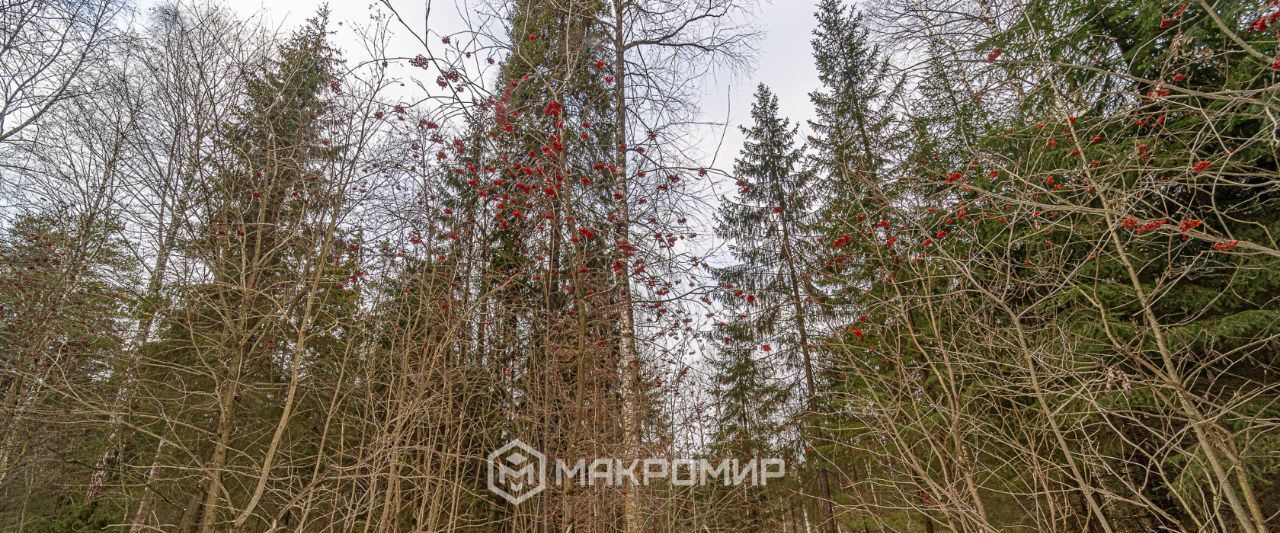 квартира г Пермь р-н Дзержинский ул Вагонная 29 фото 34