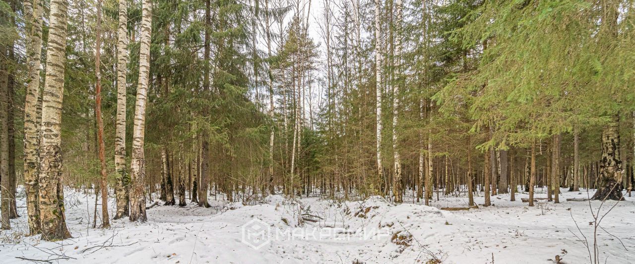 квартира г Пермь р-н Дзержинский ул Вагонная 29 фото 38