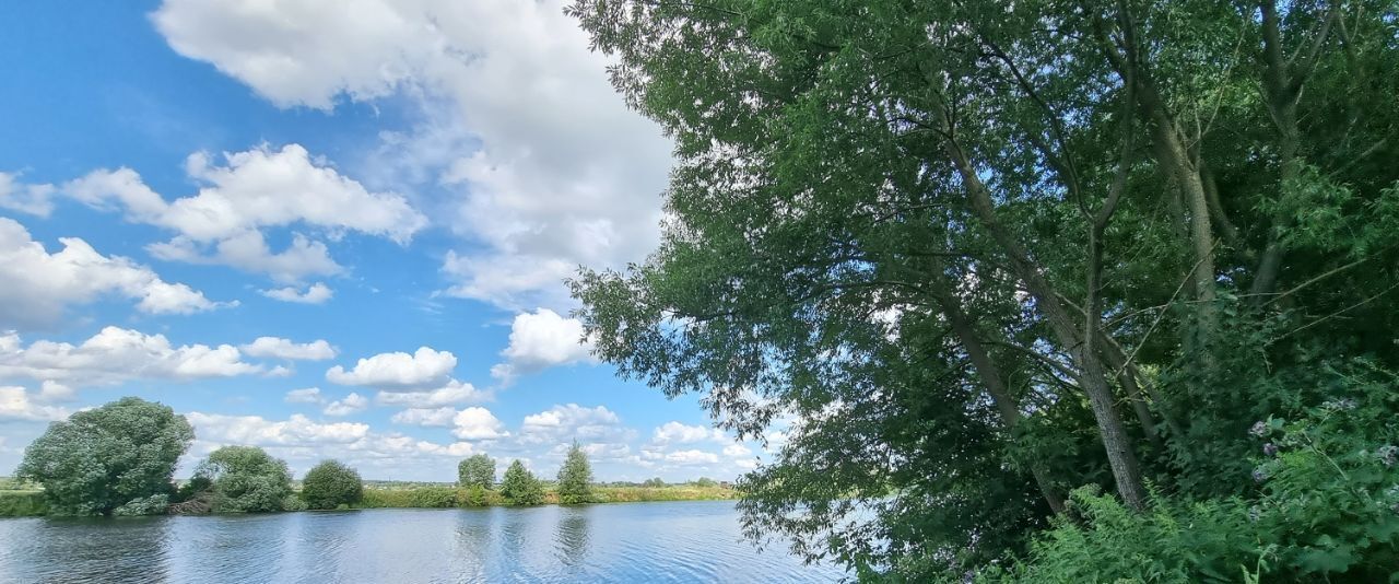 земля Воскресенск городской округ, Чайка дп фото 1