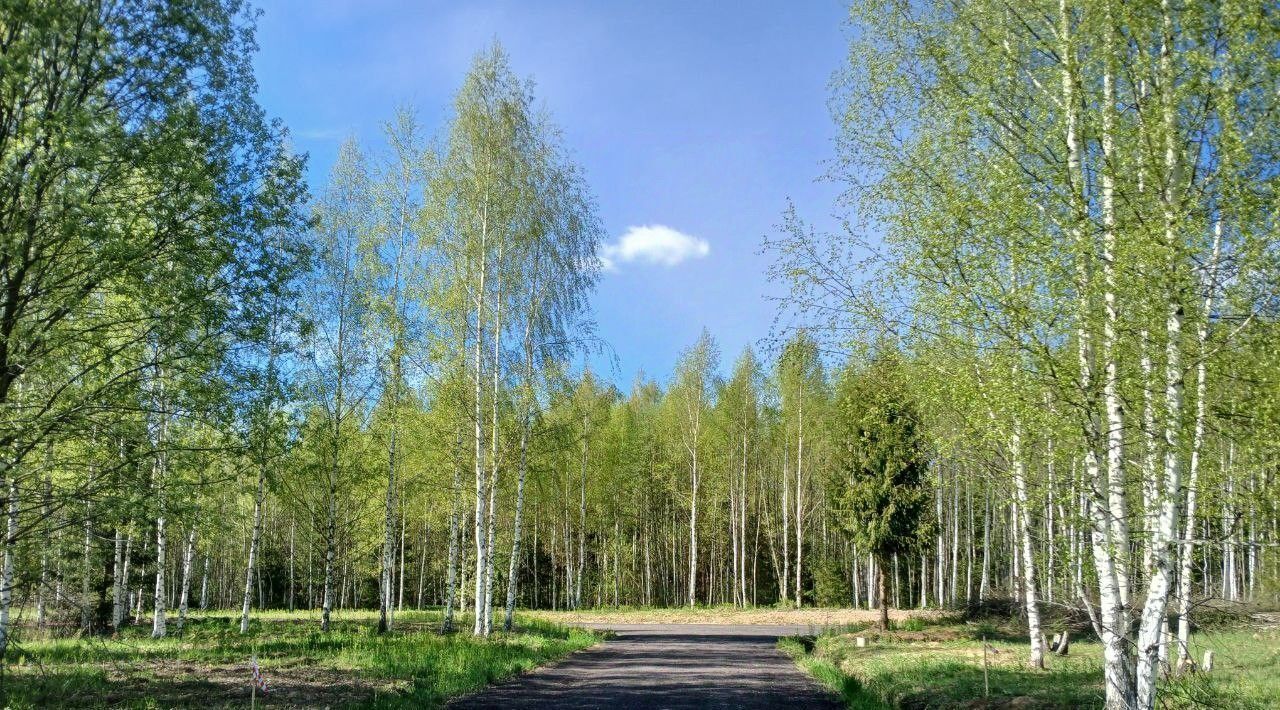 земля городской округ Пушкинский д Данилово фото 2