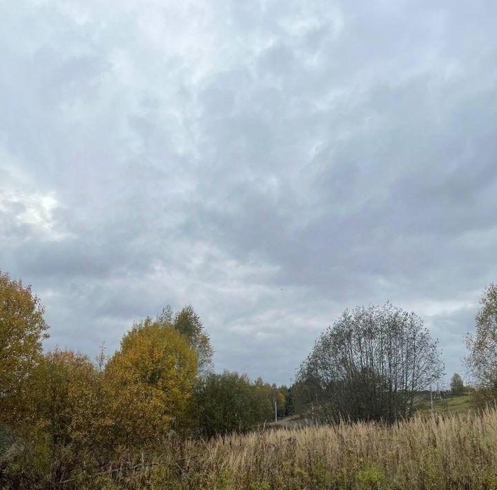 земля городской округ Пушкинский п Софрино Дальний мкр фото 2