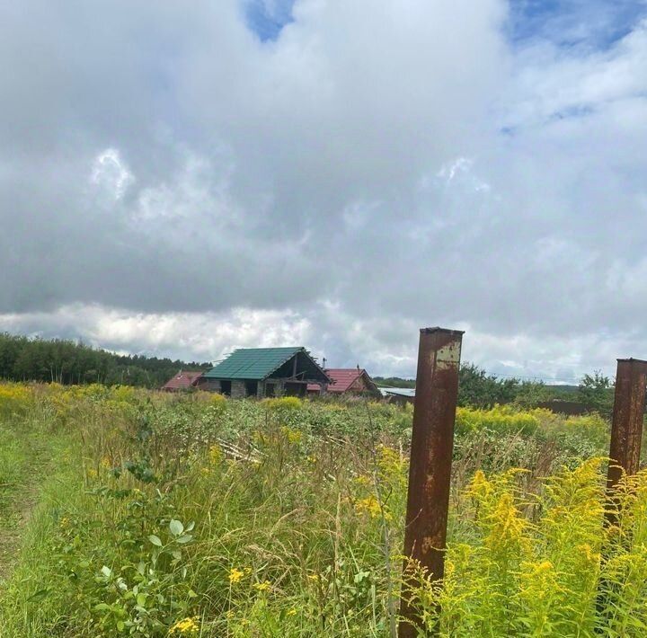 дом р-н Богородский д Заозерье ул Радужная 8 фото 2