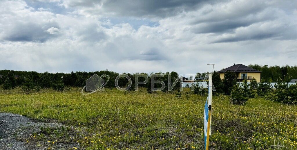 земля г Тюмень ул Ломоносова коттеджный пос. Новокаменский, Тюменский р-н фото 4