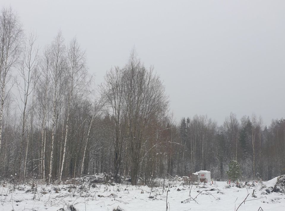 земля р-н Тосненский д Кирково Любанское городское поселение фото 11