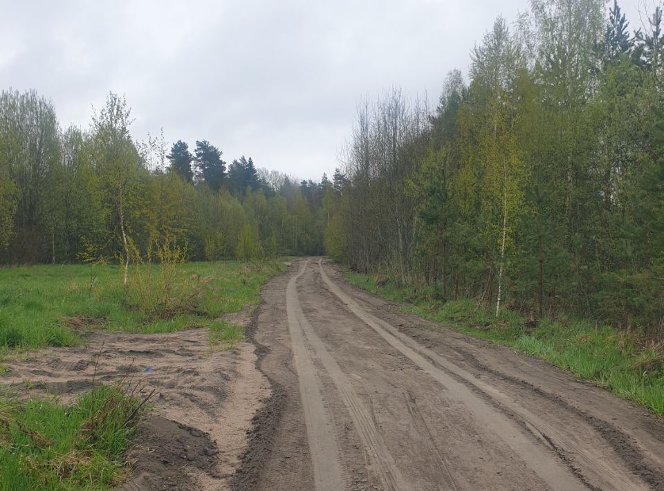 земля р-н Тосненский д Кирково Любанское городское поселение фото 15