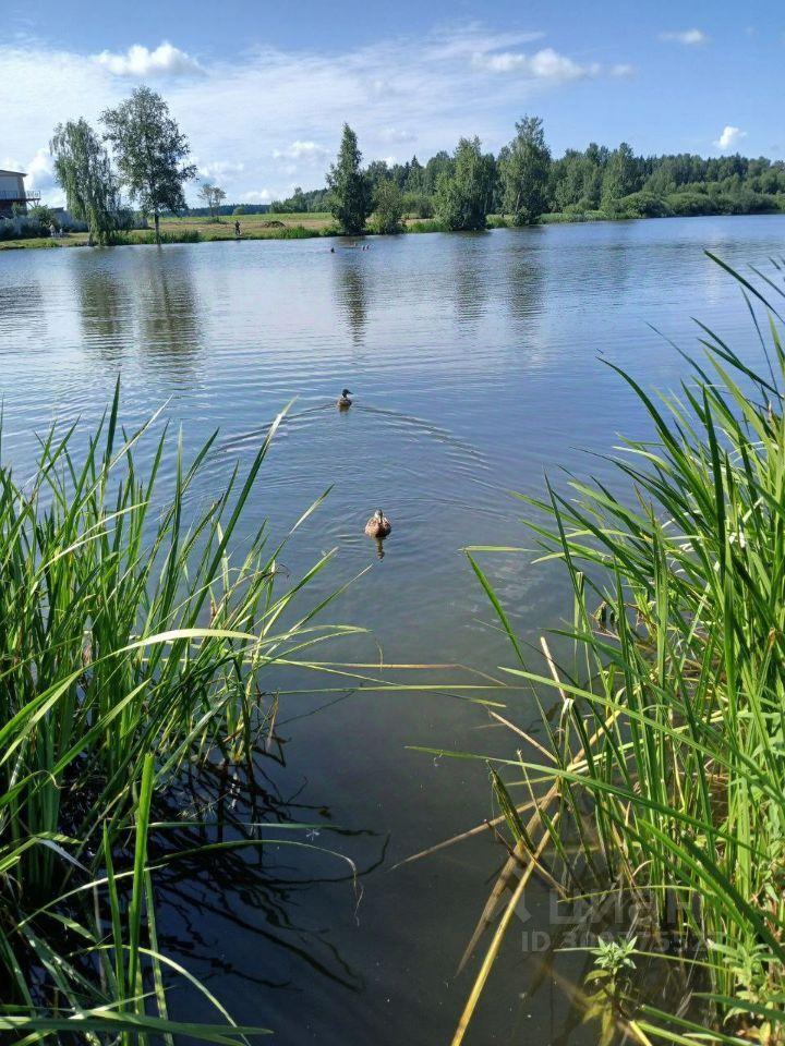 земля городской округ Пушкинский Ашукино дп, ул. Железнодорожная фото 1