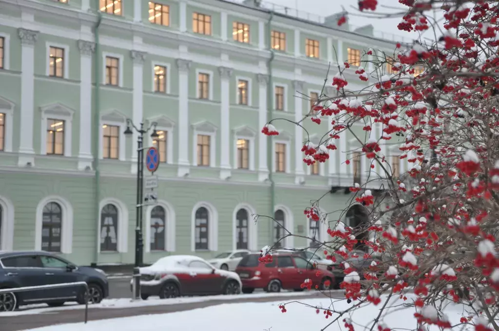 квартира г Санкт-Петербург метро Невский Проспект ул Миллионная 4/1 Ленинградская область фото 10