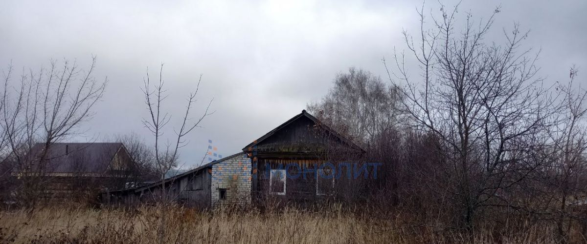 дом р-н Спасский с Вазьянка ул Школьная фото 2