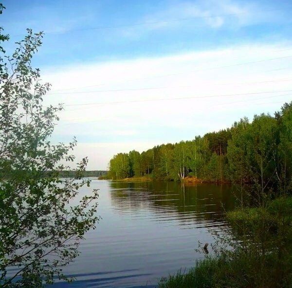 дом р-н Чкаловский д Новая ул Клубная Чкаловск городской округ фото 6