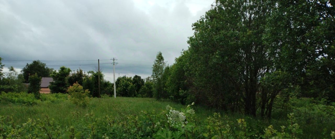 офис городской округ Можайский д Новинки фото 1