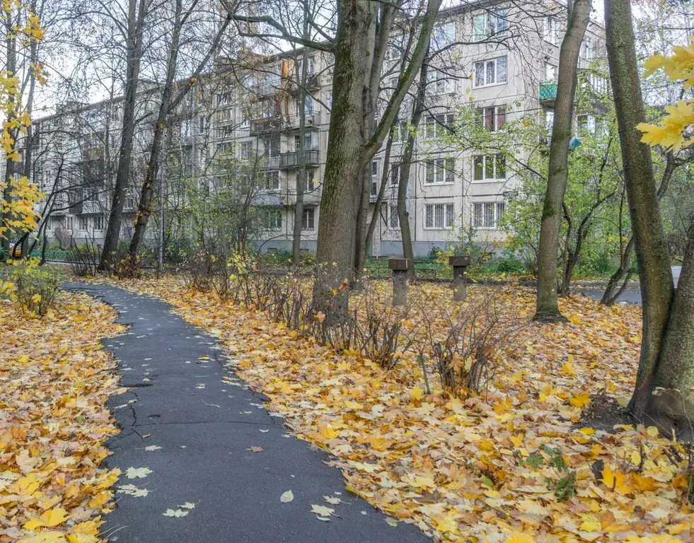 квартира г Санкт-Петербург пр-кт Юрия Гагарина 38к/3 Звёздная, Ленинградская область фото 26