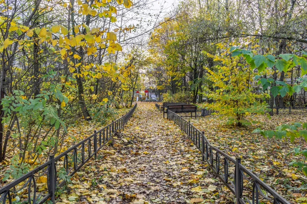 квартира г Санкт-Петербург пр-кт Юрия Гагарина 38к/3 Звёздная, Ленинградская область фото 27