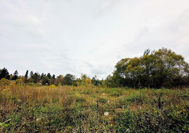 городской округ Наро-Фоминский д Алабино 9755 км, Апрелевка, Киевское шоссе фото