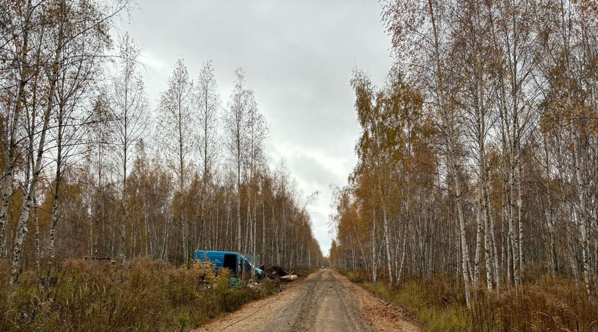 дом р-н Новоусманский с Бабяково ул Бирюзовая фото 10