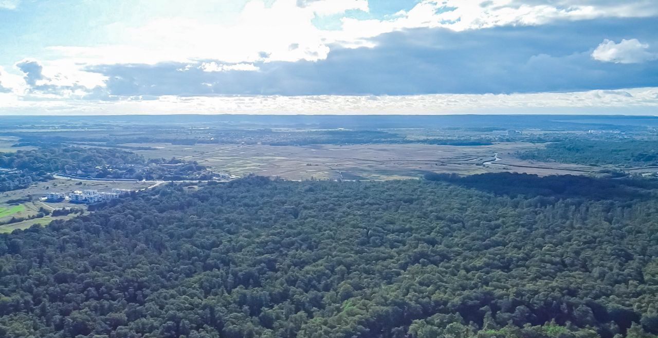 земля р-н Зеленоградский г Зеленоградск п Сосновка фото 20