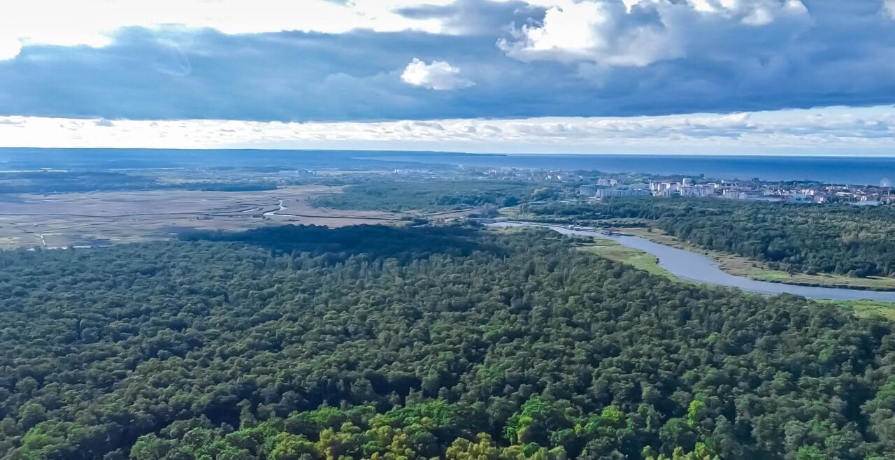 земля р-н Зеленоградский г Зеленоградск п Сосновка фото 19