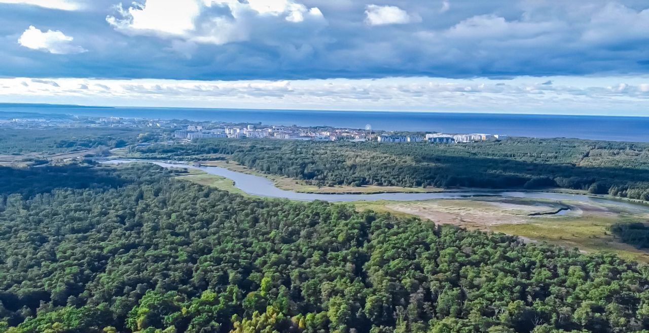 земля р-н Зеленоградский г Зеленоградск п Сосновка фото 21