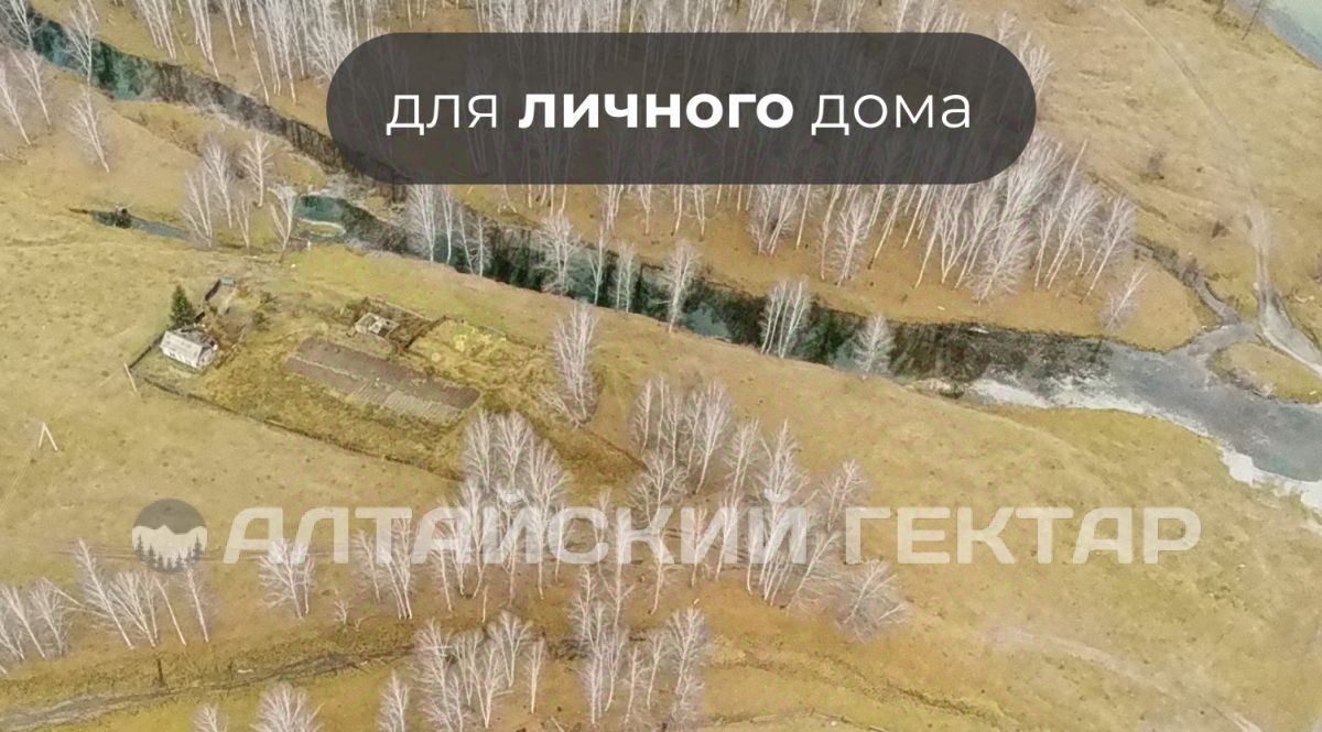 земля р-н Усть-Коксинский с Тихонькая ул Набережная фото 3