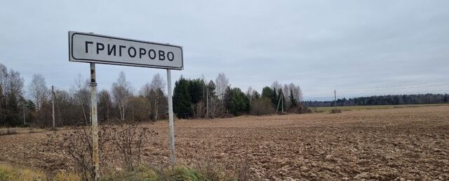 земля д Григорово 63 км, Наро-Фоминск, Минское шоссе фото