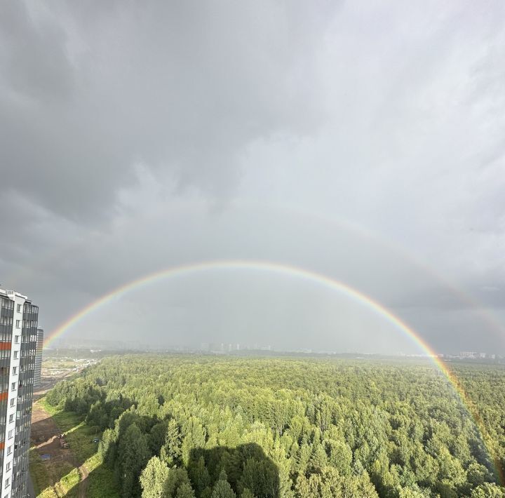 квартира г Санкт-Петербург метро Проспект Просвещения наб Реки Каменки 23 фото 19