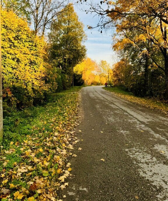 дом р-н Лужский д Городец 8 фото 7