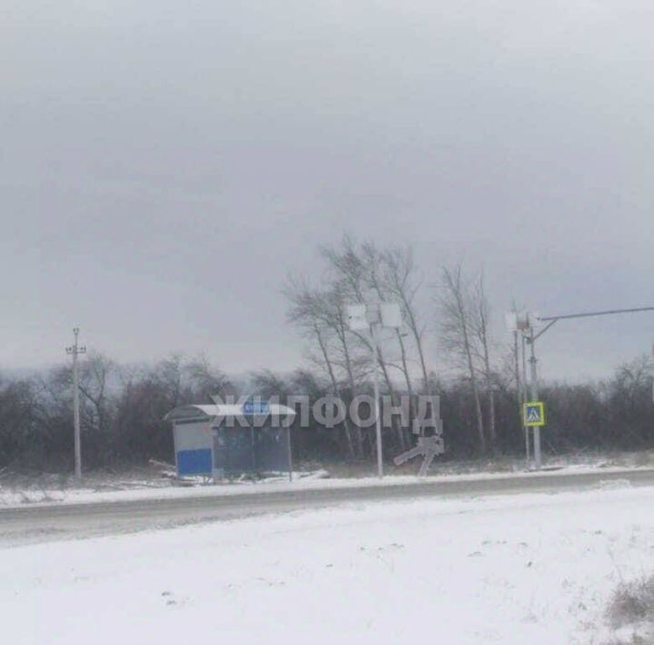 земля р-н Новосибирский с Шилово ул Заречная Ярковский сельсовет фото 3