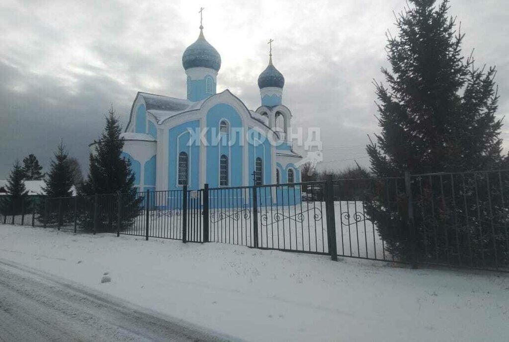 земля р-н Новосибирский с Шилово ул Заречная фото 11