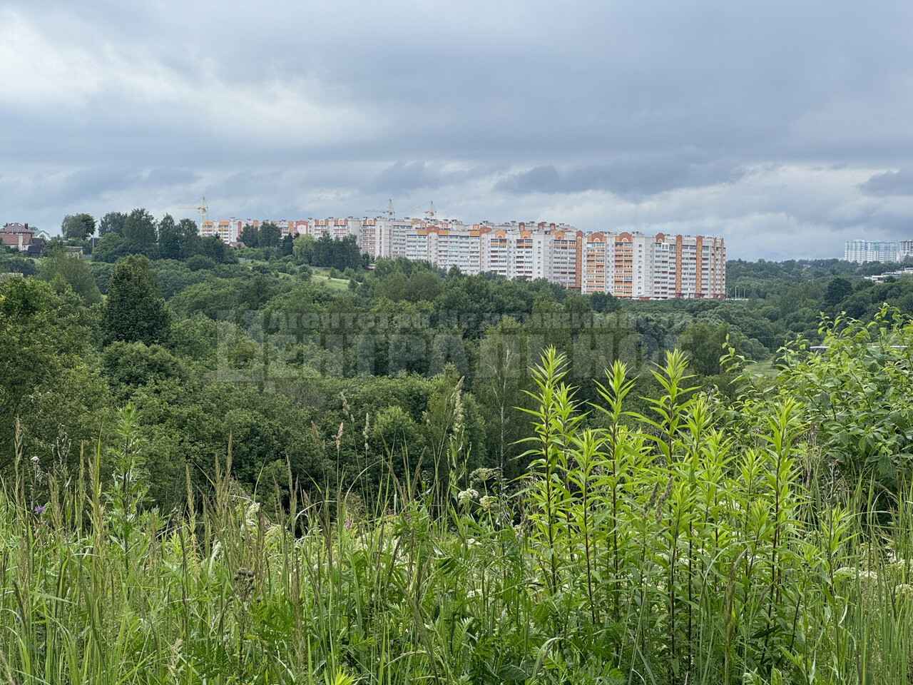 свободного назначения р-н Смоленский д Богородицкое ул Счастливая фото 10