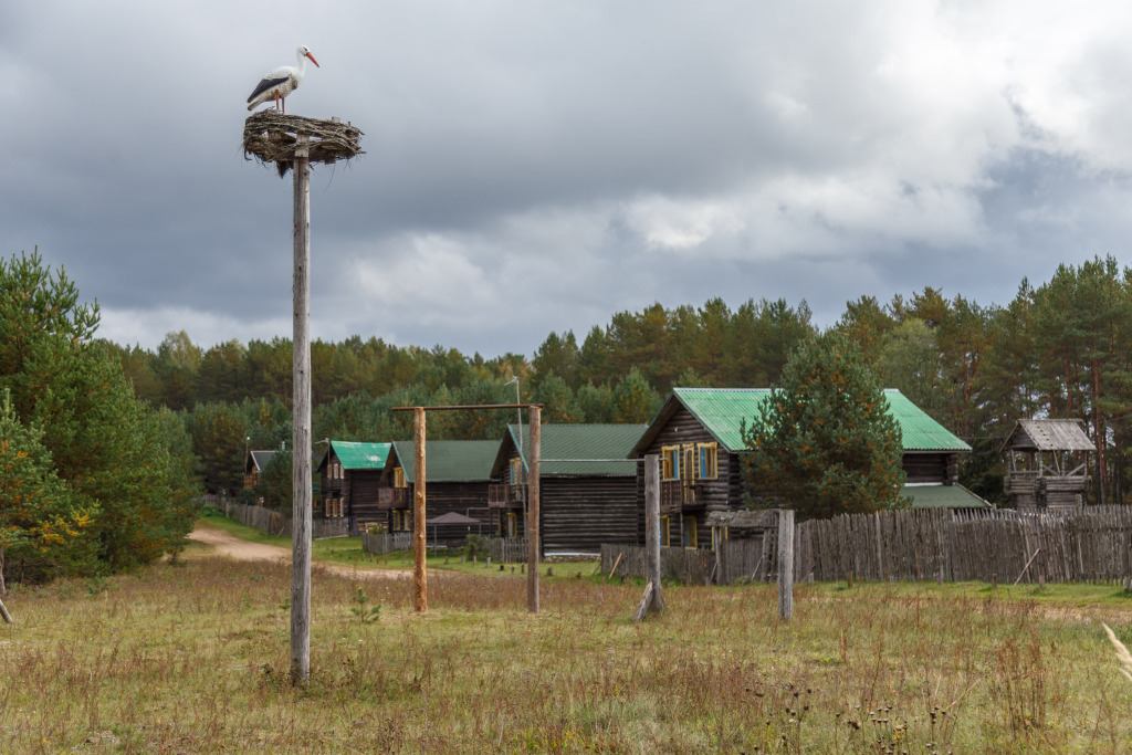 гостиницу р-н Родниковский с Михайловское Бологовский район, Тверская область фото 40