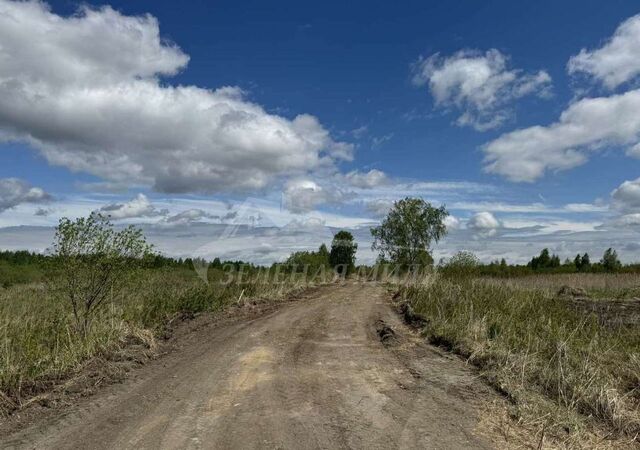 р-н Центральный общество Дубок, Сиреневая ул, садовое фото