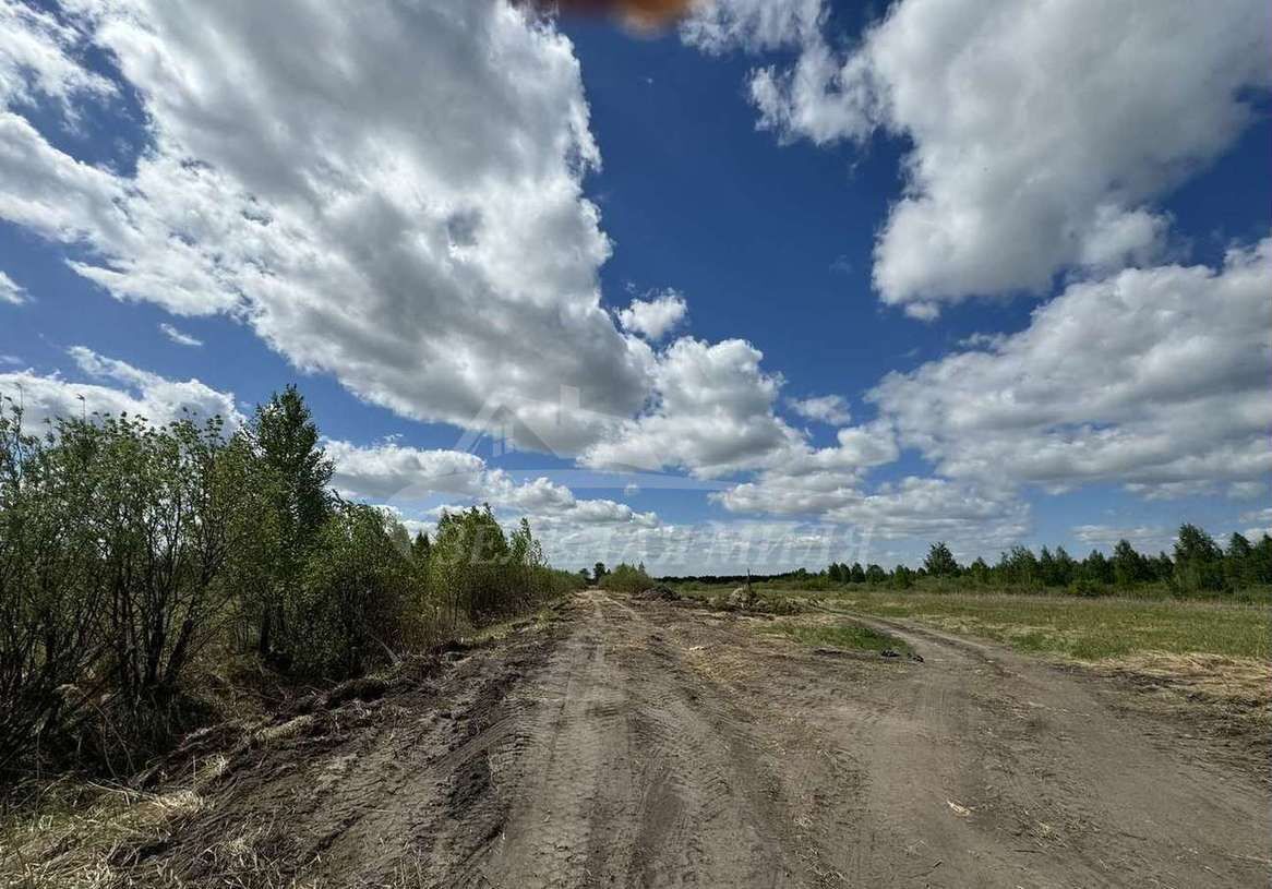 земля г Тюмень р-н Центральный общество Дубок, Сиреневая ул, садовое фото 2